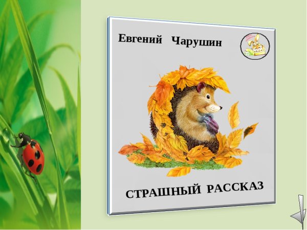 Евгений Чарушин страшный рассказ