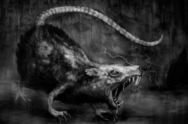 Иллюстрация крысы злой