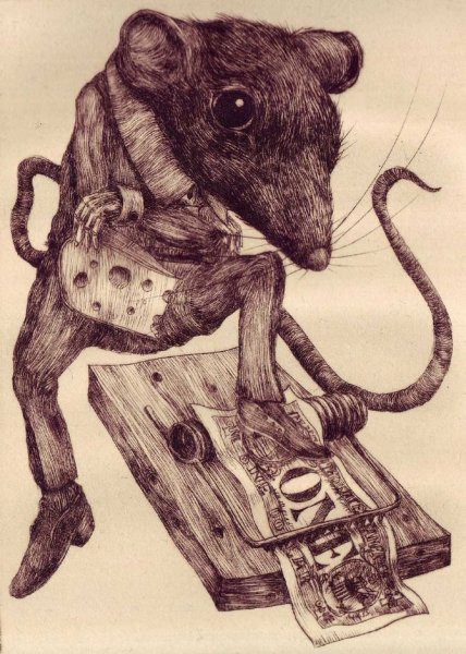 Зарисовки крыс