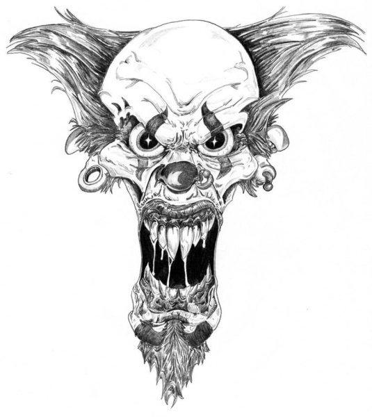 Череп ворона