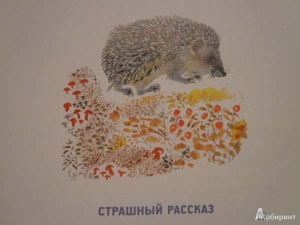 Чарушин страшный рассказ рисунок к рассказу