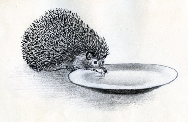 Рассказ ёж пришвин