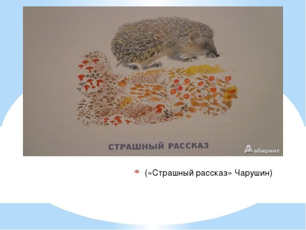 Иллюстрация к рассказу Чарушина страшный рассказ