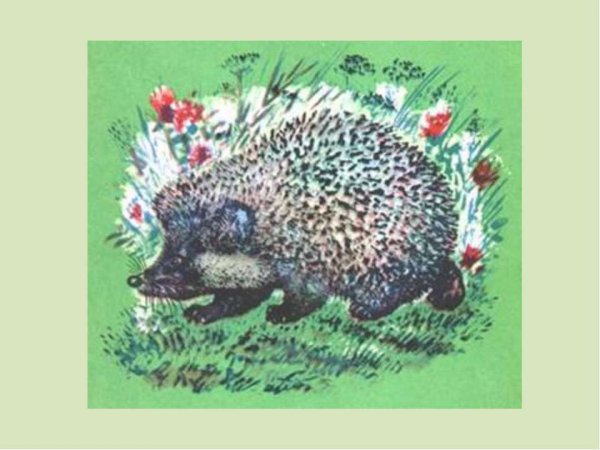 Иллюстрацию к рассказу е Чарушина страшный рассказ