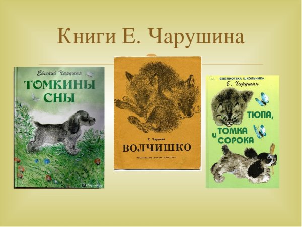 Евгений Чарушин страшный рассказ