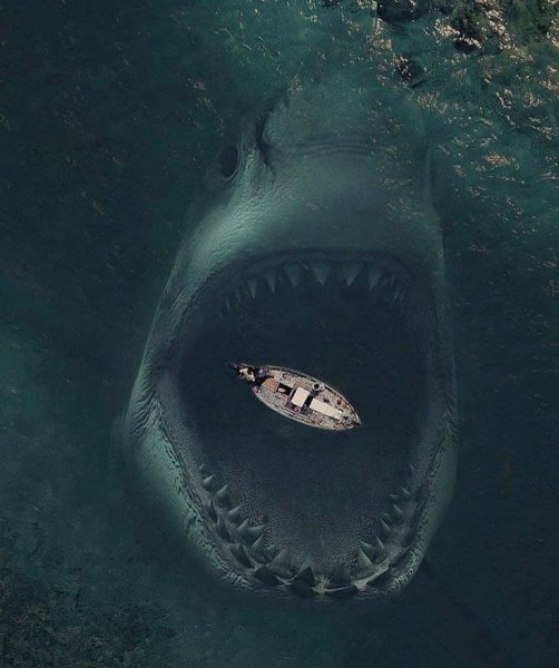 Акула МЕГАЛОДОН