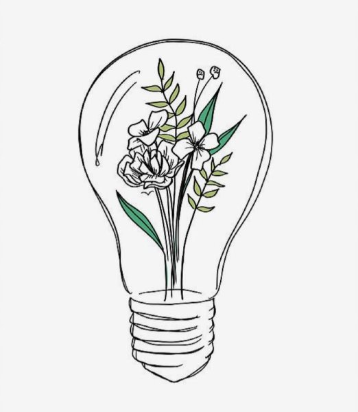 Эстетичные раскраски растения