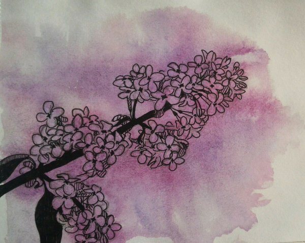 Эстетика рисования