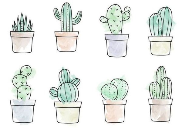 Стилизованные кактусы