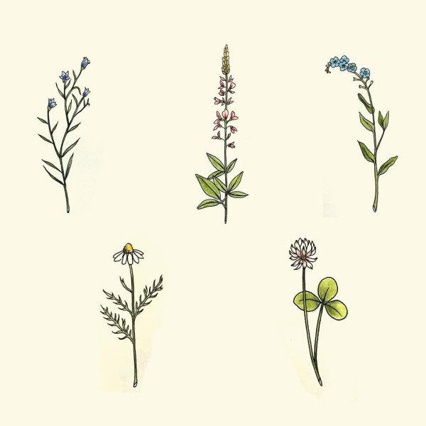 Тату растения эскизы