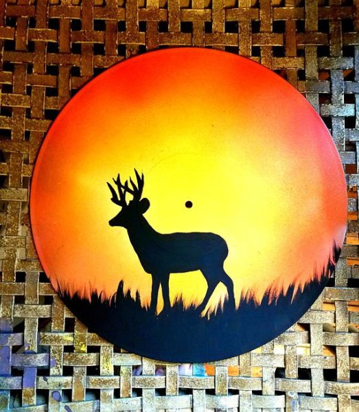 Рисование на виниловых пластинках