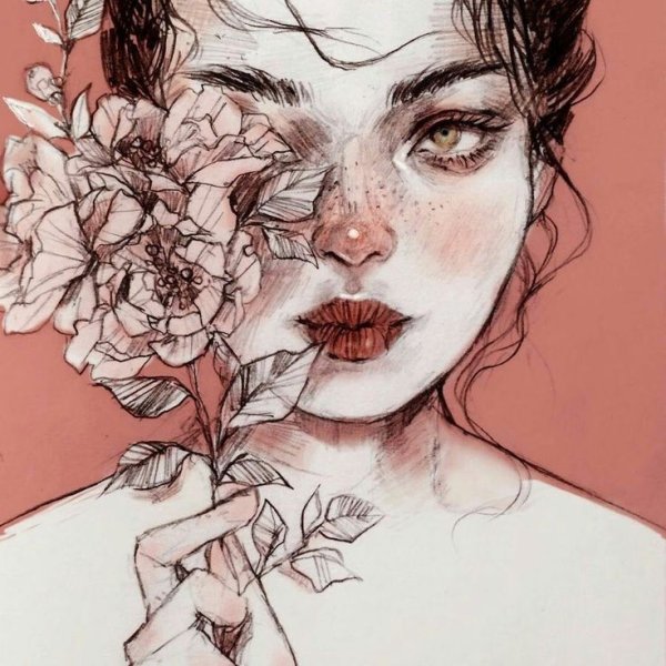 Рисунки Эстетика