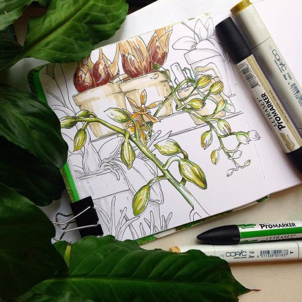 Скетчбук для рисования