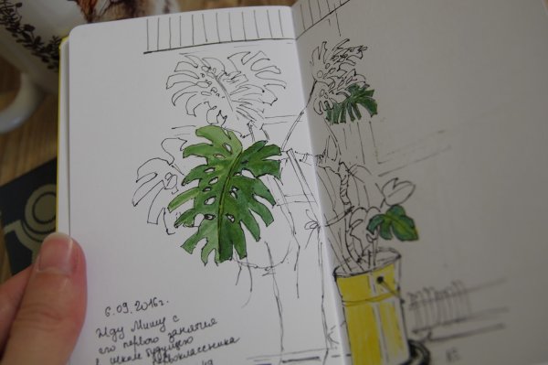 Профессиональные скетч маркеры