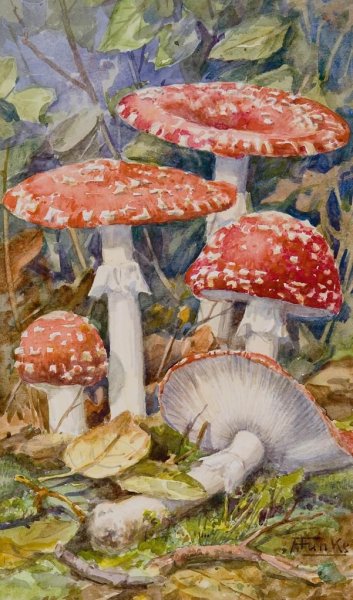 Мухоморы в живописи