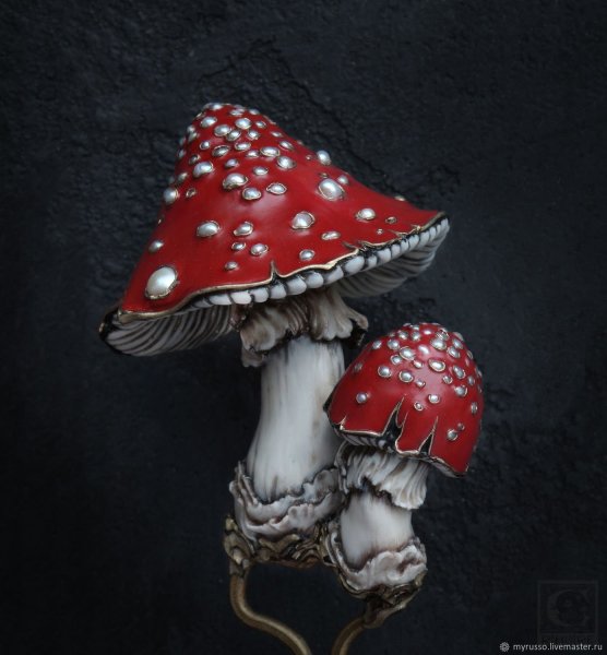 Аманита Мускария психоделика