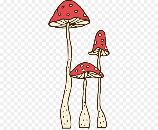 Мухомор инди КИД