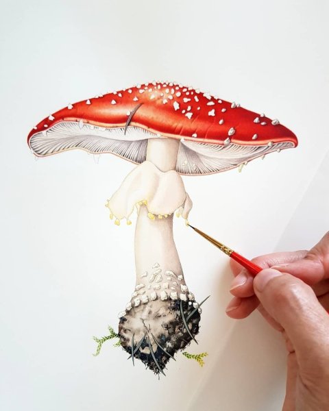 Гриб мухомор арт