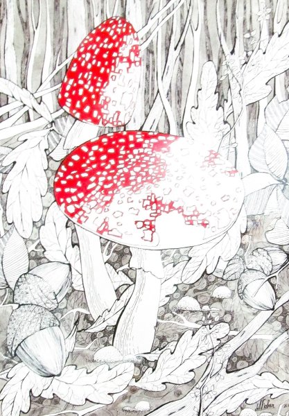 Мухоморы в графике