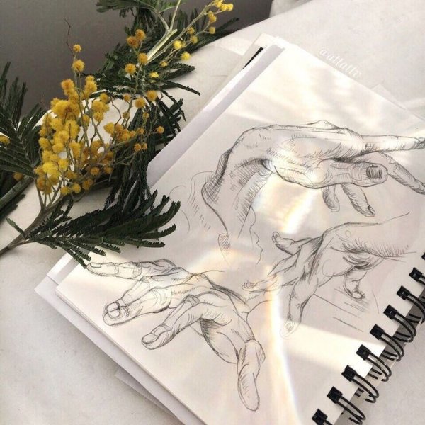 Эстетика рисования