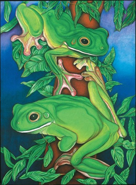 Прикольные арты лягушек