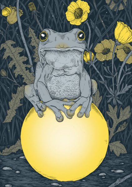 Лягушка арт Эстетика