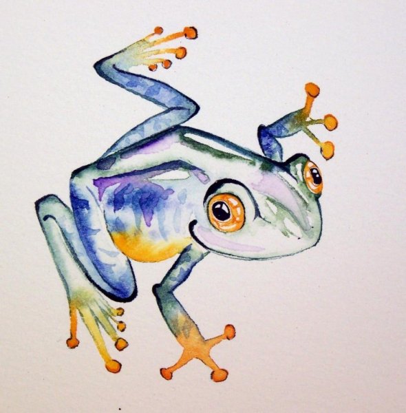 Лягушки с пинтереста