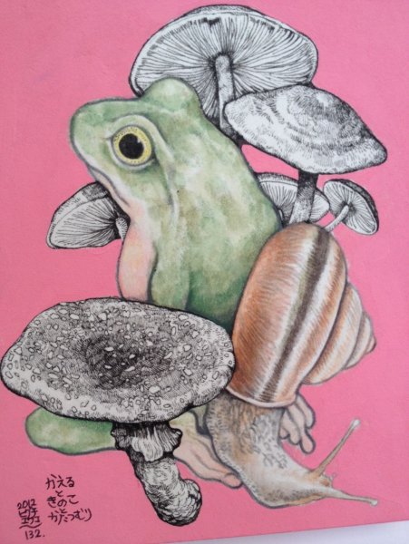 Higuchi Yuko лягушка