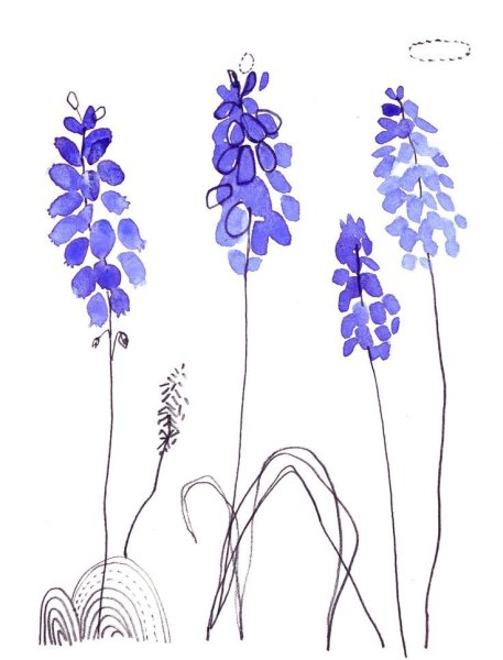 Лаванда акварель клипарт