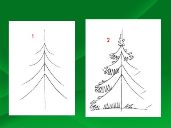 Поэтапное рисование елочки