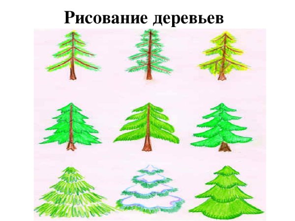 Приемы рисования деревьев