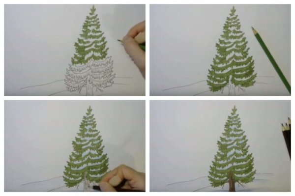 Рисование ели поэтапно