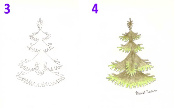 Ель рисунок карандашом для начинающих