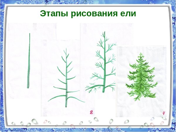 Большие и маленькие ели рисование в старшей группе