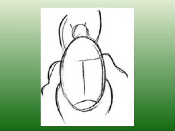 Поэтапное рисование жука для детей