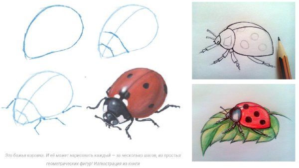 Схема рисования Божьей коровки