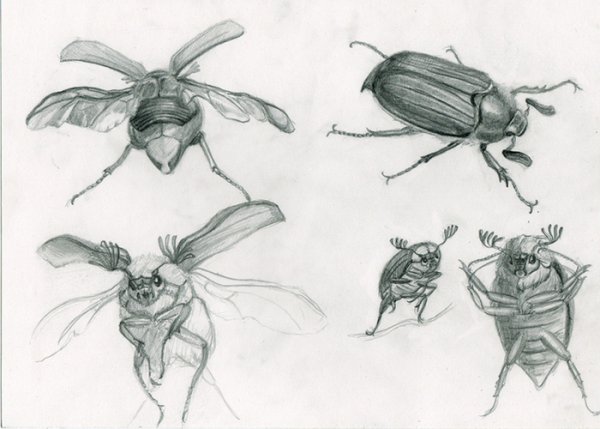 Насекомые карандашом