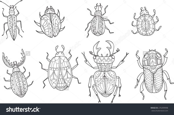 Раскраска жуки и насекомые