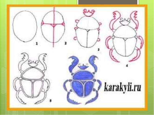 Жук скарабей рисунок пошагово