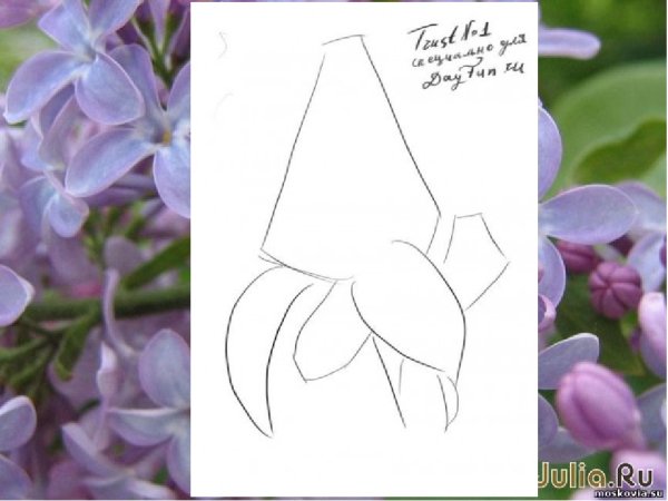 Поэтапное рисование сирени