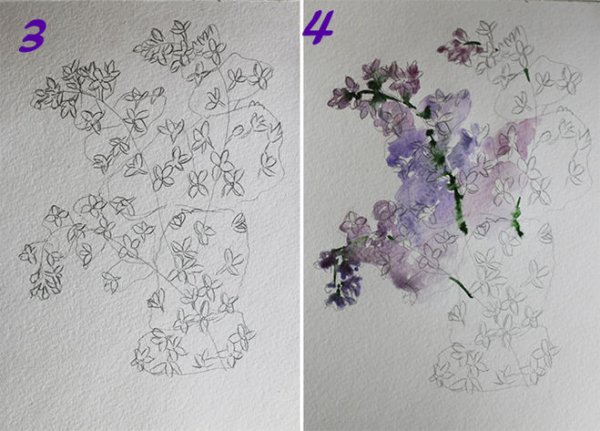 Рисуем сирень поэтапно