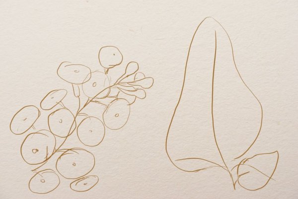 Сирень карандашом