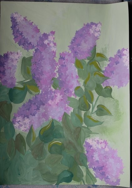 Ветка сирени рисование