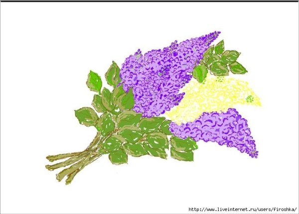 Букет сирени силуэт