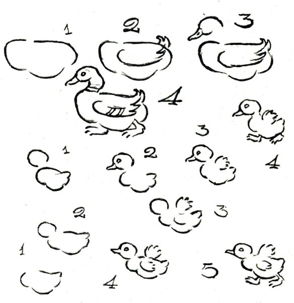 Уточка рисунок для детей карандашом
