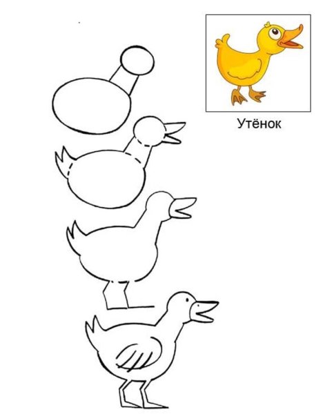 Рисование домашней птицы в подготовительной группе