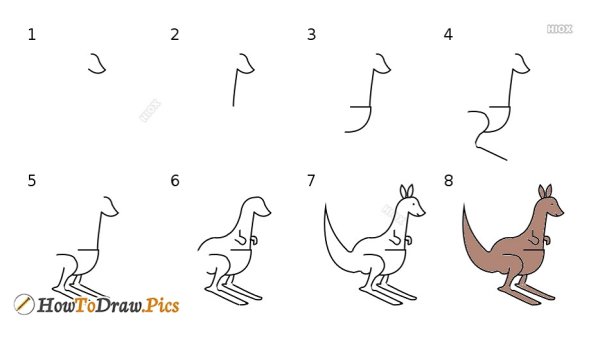 Поэтапное рисование кенгуру