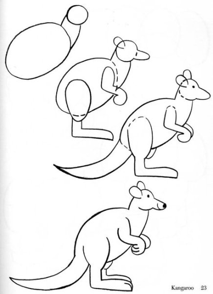 Кенгуру рисование