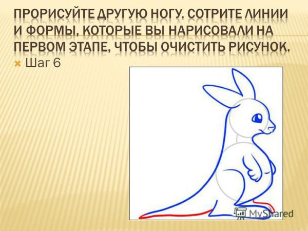 Презентация последовательность рисования животных