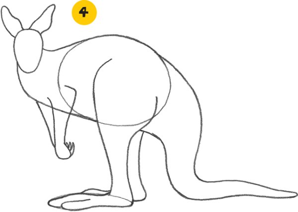 Рисуем кенгуру в подготовительной группе